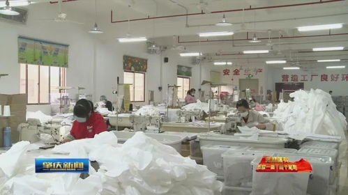 肇慶加快推進(jìn)‘五位一體’總體布局，助力企業(yè)有效復(fù)工復(fù)產(chǎn)