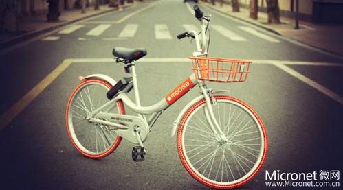 共享快遞盒 綠色物流新革命，一年可省下46個小興安嶺的木材資源